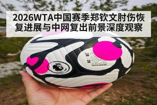 2026WTA中国赛季郑钦文肘伤恢复进展与中网复出前景深度观察